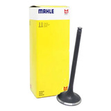 Mahle