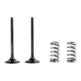 Válvula De Admissão E Molas Prox Crf 250 08 09 kit 2 Pcs 