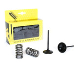 Válvula De Admissão E Molas Prox Kxf 450 09 18 kit 2 Peças 