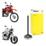 Válvula De Escape Xtz lander tenere fazer 250 Metal Leve