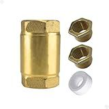 Válvula De Retenção 3-4 Com Redução Para 1-2-20mm Vertical Para Água Óleo Fabricado Em Metal