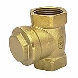 Valvula De Retenção Horizontal C Portinhola 1 Fxf