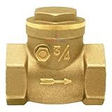 Valvula De Retenção Horizontal C Portinhola 3 4 Fxf Druck