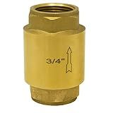 Válvula De Retenção Universal 3 4 Latão Fxf Druck