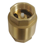 Válvula De Retenção Vertical Metal De 1 Polegada