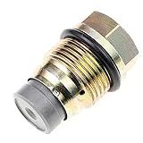 Válvula Do Limitador De Alívio Da Pressão Do Trilho De Combustível Para Hyundai Libero Porter H 1 Para Kia Sorento 2 5 Crdi 96377879 96415094 1110010017