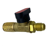 Manifold