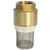 Válvula Fundo De Poço Com Tela Inox 3-4- Polegadas