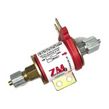 Zm