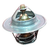 Valvula Termostatica Motor 302