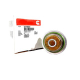 Válvula Termostática Motor Cummins Isc 2v2 121 113 a
