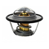 Valvula Termostatica Original Iveco 504380075