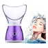 Vapor Vaporizador Facial Limpeza Sauna Multifuncional 220v