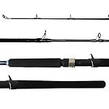 Vara Carretilha Marine Sports Evolution GT2C601XH 40 80Lb 1 83M Fibra De Carbono