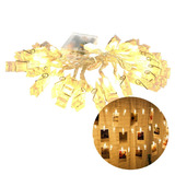 Varal Cordão Luminoso Led Para 20 Fotos Usb E ou Pilhas