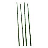 Varal De Bambu Mosso