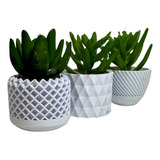 Vasinho Decorativo E Mini