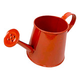 Vasinho Regador De Metal Color Mini