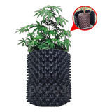 Vaso Airpot Raiz Forte