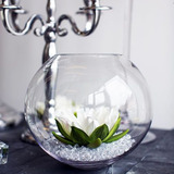 Vaso Aquário Castiçal Redondo Vidro Decoração Vela Top 13x10