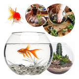 Vaso Aquario Redondo Gigante 9 8 L Decoração Em Vidro