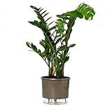 Vaso Autoirrigável Grande N04 21cm X 19cm Terrazzo Basalto