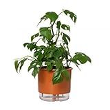Vaso Autoirrigável Grande N04 21cm X 19cm Terrazzo Terracota