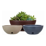 Plantas