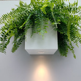 Vaso Cachepot Flor Luminoso