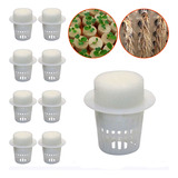 Vaso Cesta Copo Cultivo