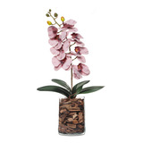 Decorativa