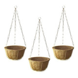 Vaso Cuia Xaxim Coco Natural Kit Completo Nutricoco 3 Un
