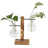 Vaso De Bulbo De Vidro Transparente Wnvivi Com Suporte De Madeira Vaso De Plantas Hidropônicas Vaso De Hidroponia De Vidro Transparente Decoração De Mesa Tipo B 