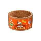 Vaso De Fibra De Coco Nutricoco 02