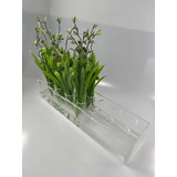 Vaso De Flores Em
