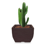 Vaso De Planta 30x40