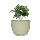 Vaso De Planta Bojo Redondo Escovado Textura 20x25 Com Prato Polietileno Bege