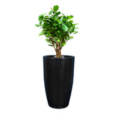 Vaso De Planta Coluna Polida N02 C Prato