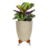 Vaso De Planta Natural Artificial Jarro Suporte Rodízio Gel