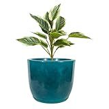 Vaso De Plantas Grande Liso Polido Luxo Redondo Polietileno Com Prato 32x36 Verde 
