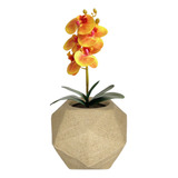 Planta