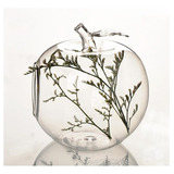 Vaso De Vidro Maçã De Parede Terrário Plantas 10 Cm 79201