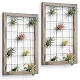 Vaso De Vidro Para Pendurar Na Parede Pacote Com 2 Vaso De Flores Terrário Com Camada De Suporte De Madeira Retrô Para Plantas Hidropônicas Casa Jardim Escritório Decoração