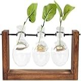 Vaso De Vidro Redondo Decorativo Para Plantas Com Suporte De Madeira E Metal Para Vaso Decoração De Mesa Sala Banheiro VASO 2