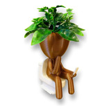 Vaso Decorativo Bob Robert Plant Banheiro Celular C  Plantas
