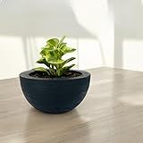 Vaso Decorativo Cuia Bacia Polietileno Suculenta Cactos 26cm -PRETO-