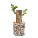 Vaso Em Vidro Com