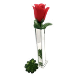 Vaso Espelho Vidro Solitário P Plantas Enfeiteskit C 10