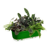 Vaso Jardineira Floreira Raiz Autoirrigável Verde Escur 40cm