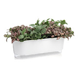 Vaso Jardineira Raiz Autoirrigável 40cm Branco Plantas